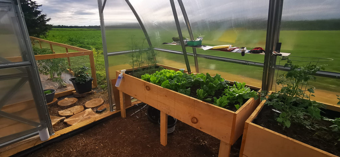 Designing Your Dream Backyard Greenhouse: A Step-by-Step Guide