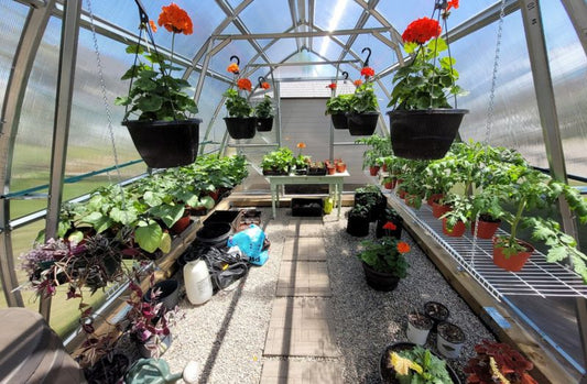 The Best Vertical Planting Techniques for Greenhouse Efficiency