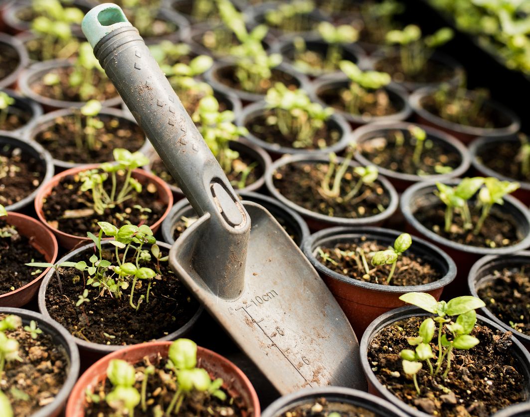Unleashing the Full Potential of Year-Round Gardening: 6 Ways a Greenhouse Can Transform Your Garden
