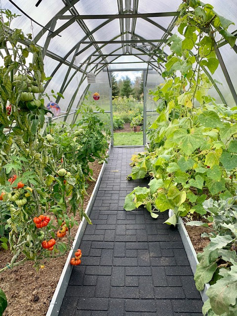 Sungrow 20 Greenhouse