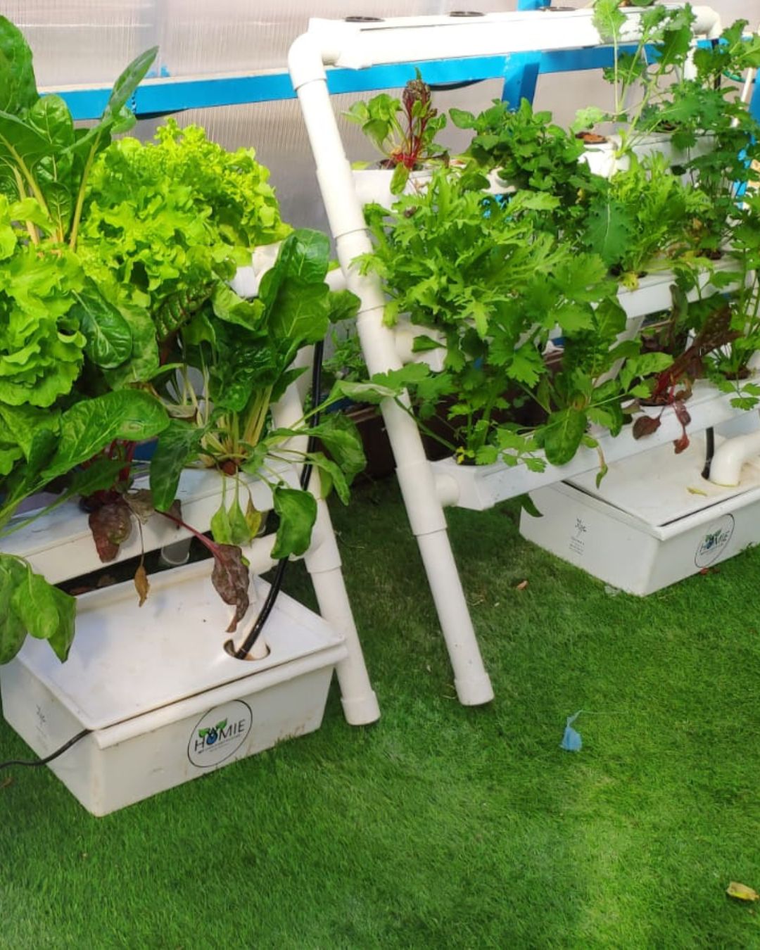 Homie 28 – Home Hydroponic Growing System
