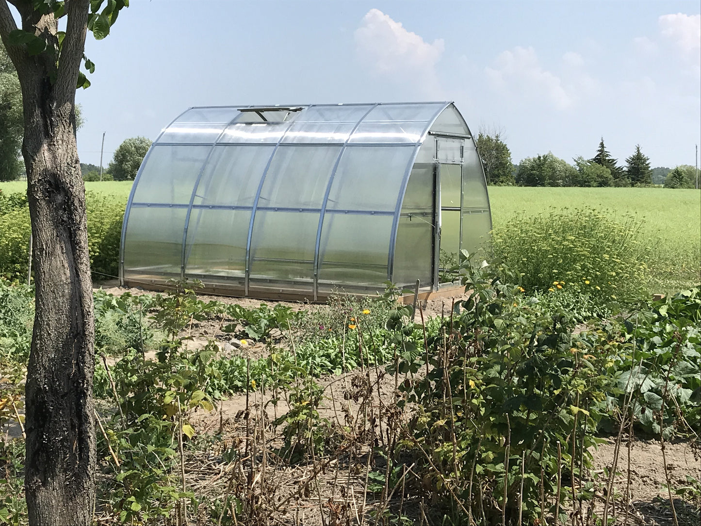 Sungrow Urban Greenhouse