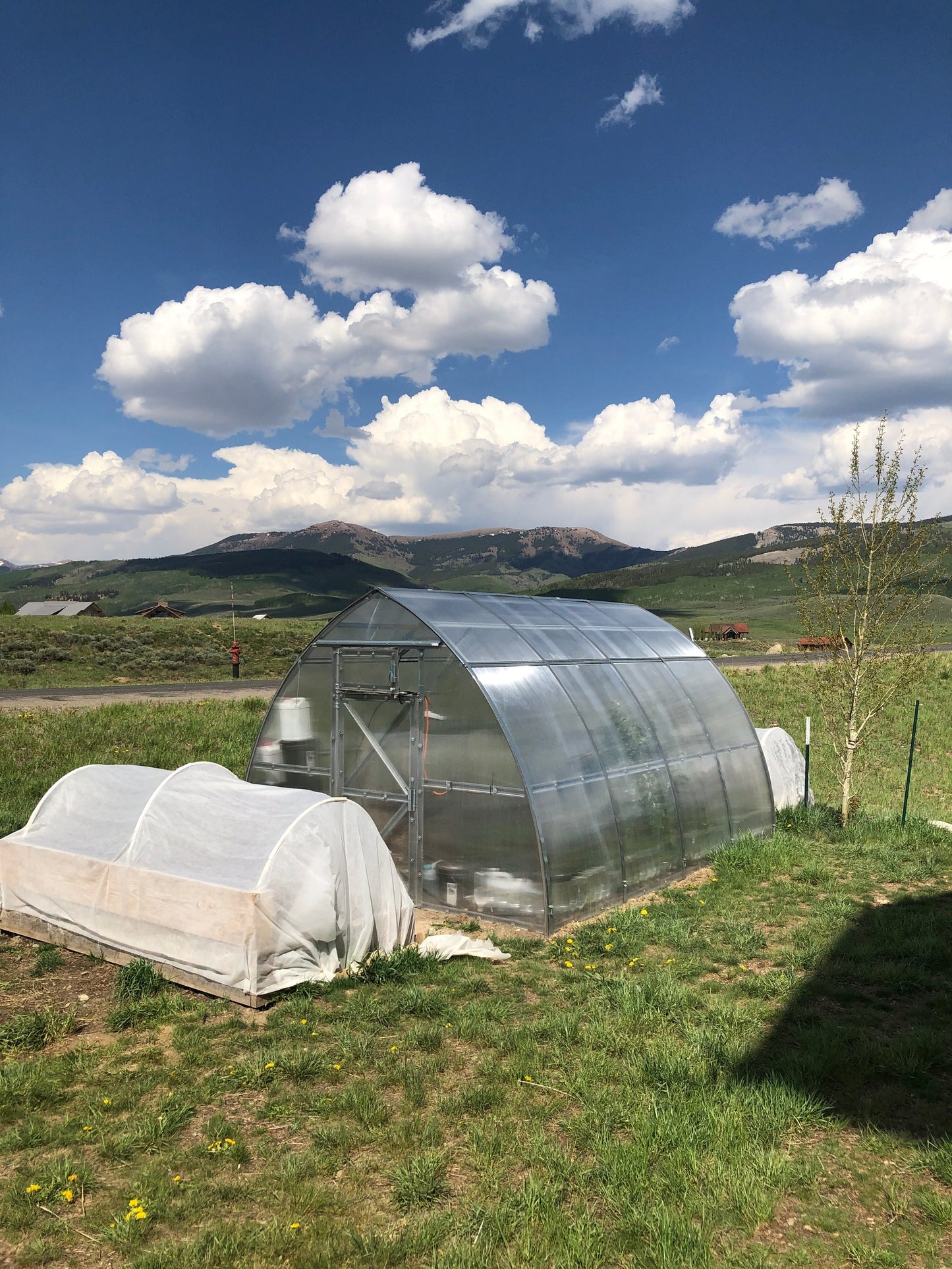 Sungrow Urban Greenhouse