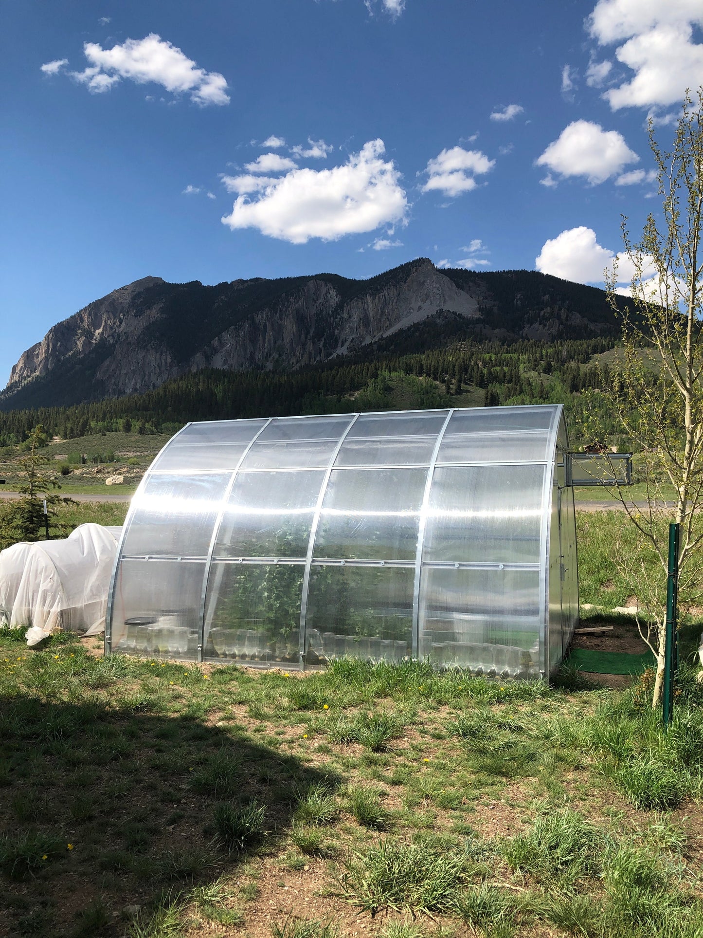 Sungrow Urban Greenhouse