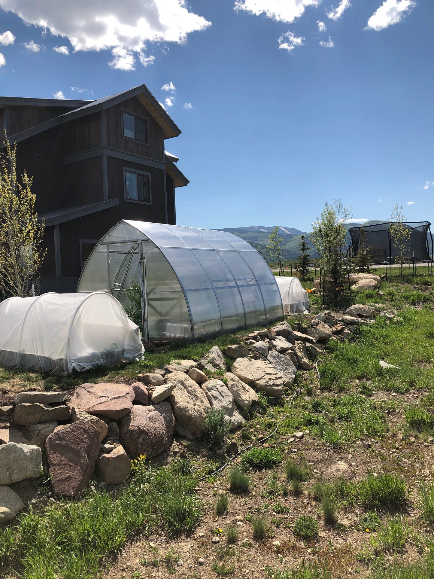 Sungrow Urban Greenhouse