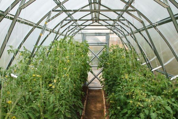 Sungrow 32 Greenhouse
