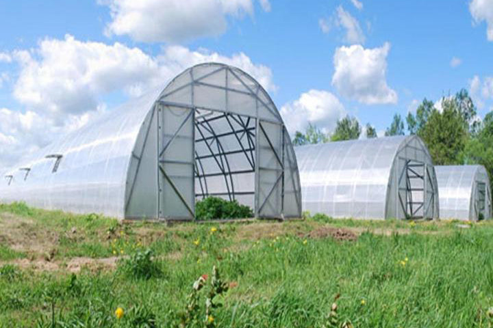 Farmer 26