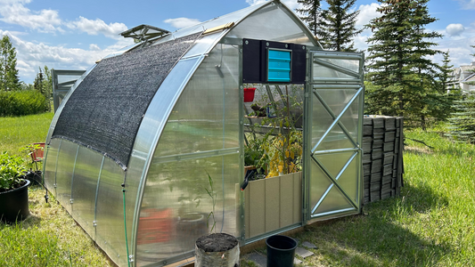 Greenhouse Automation: 8 Ways to Integrate Technology for Smart Gardening