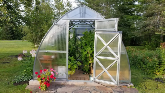 How to Design Your Greenhouse for Maximum Ventilation and Plant Health