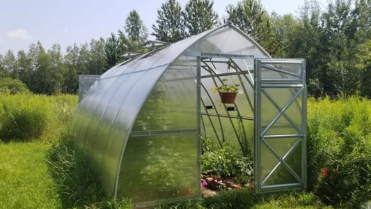 Customizing Your Backyard Greenhouse: 6 Ways to Enhance Your Space
