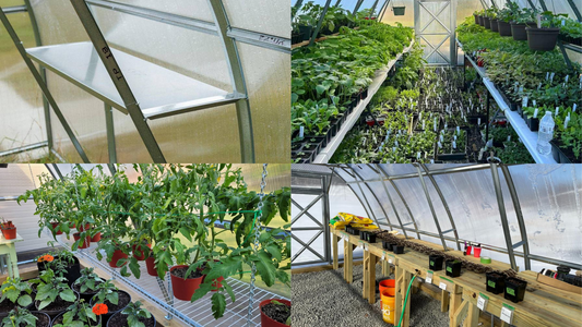 The Ultimate Guide to Greenhouse Shelves: Material, Design, and Function
