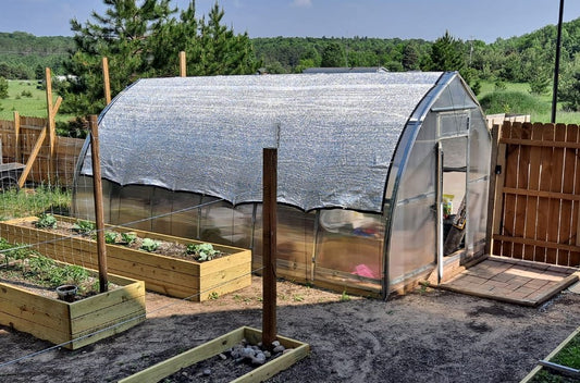 How to Balance Temperature and Humidity in Your Greenhouse