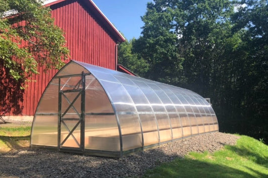 Top 5 Design Tips for Building a Backyard Greenhouse on a Budget