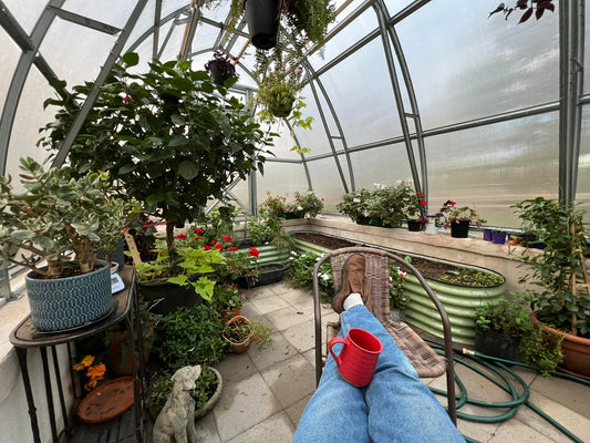 How to Plant Year-Round in Your Greenhouse