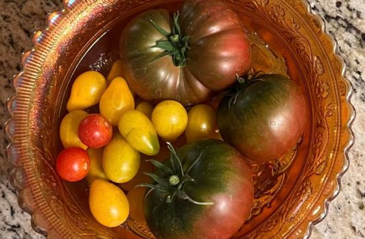 How to Start Growing Heirloom Vegetables in Your Greenhouse: An Expert Guide