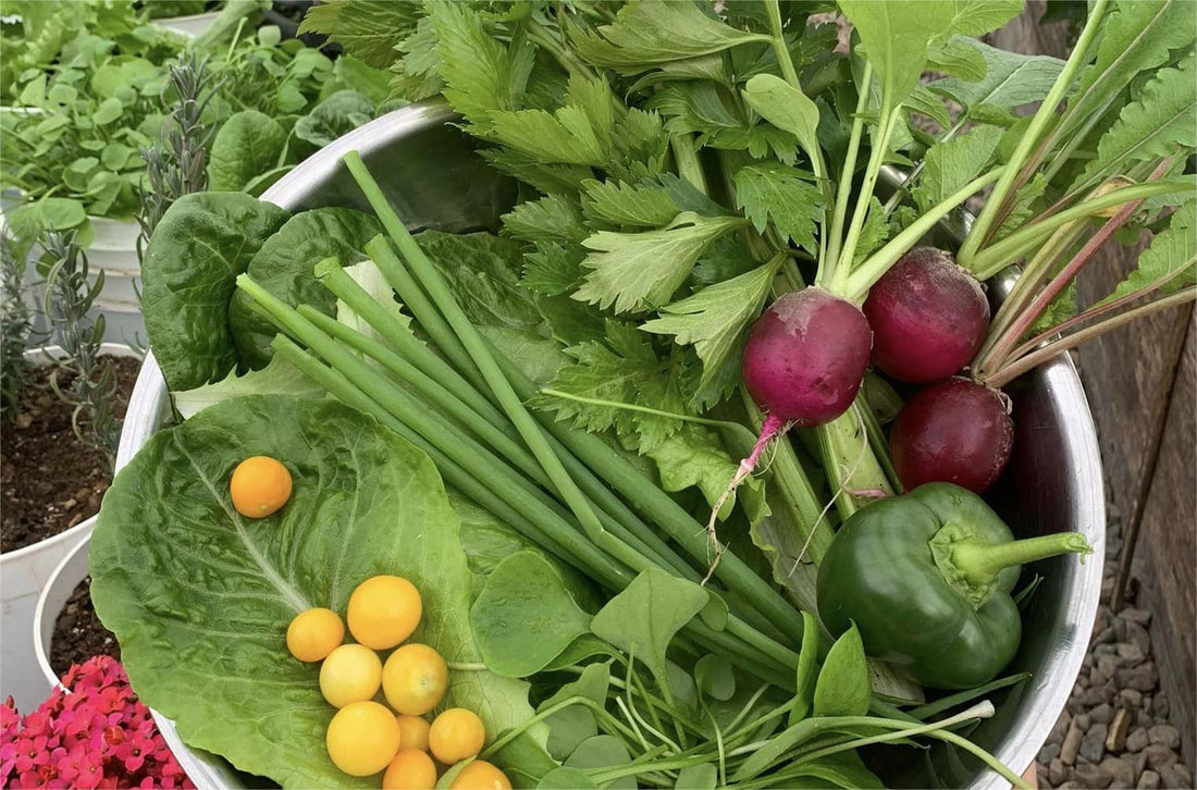 6 Steps to Growing Vegetables in a Greenhouse: a Comprehensive Guide