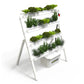 Homie 28 – Home Hydroponic Growing System