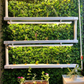 Wally 32 – Hydroponic Vertical System for Growing 32 Greens and Fruits