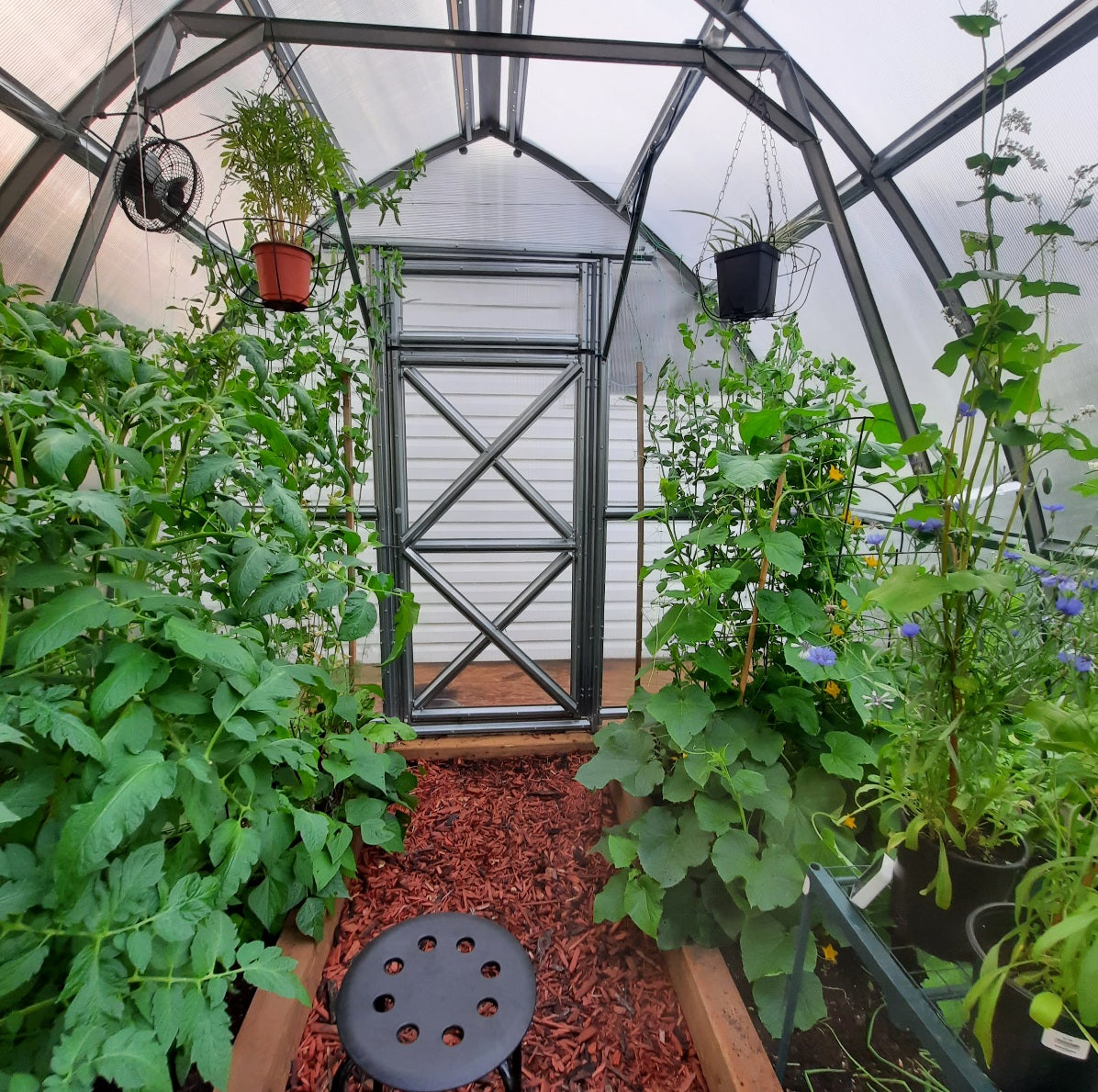 Sungrow Compact (Gen II)