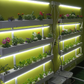 Wally 32 – Hydroponic Vertical System for Growing 32 Greens and Fruits
