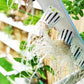 Homie 28 – Home Hydroponic Growing System