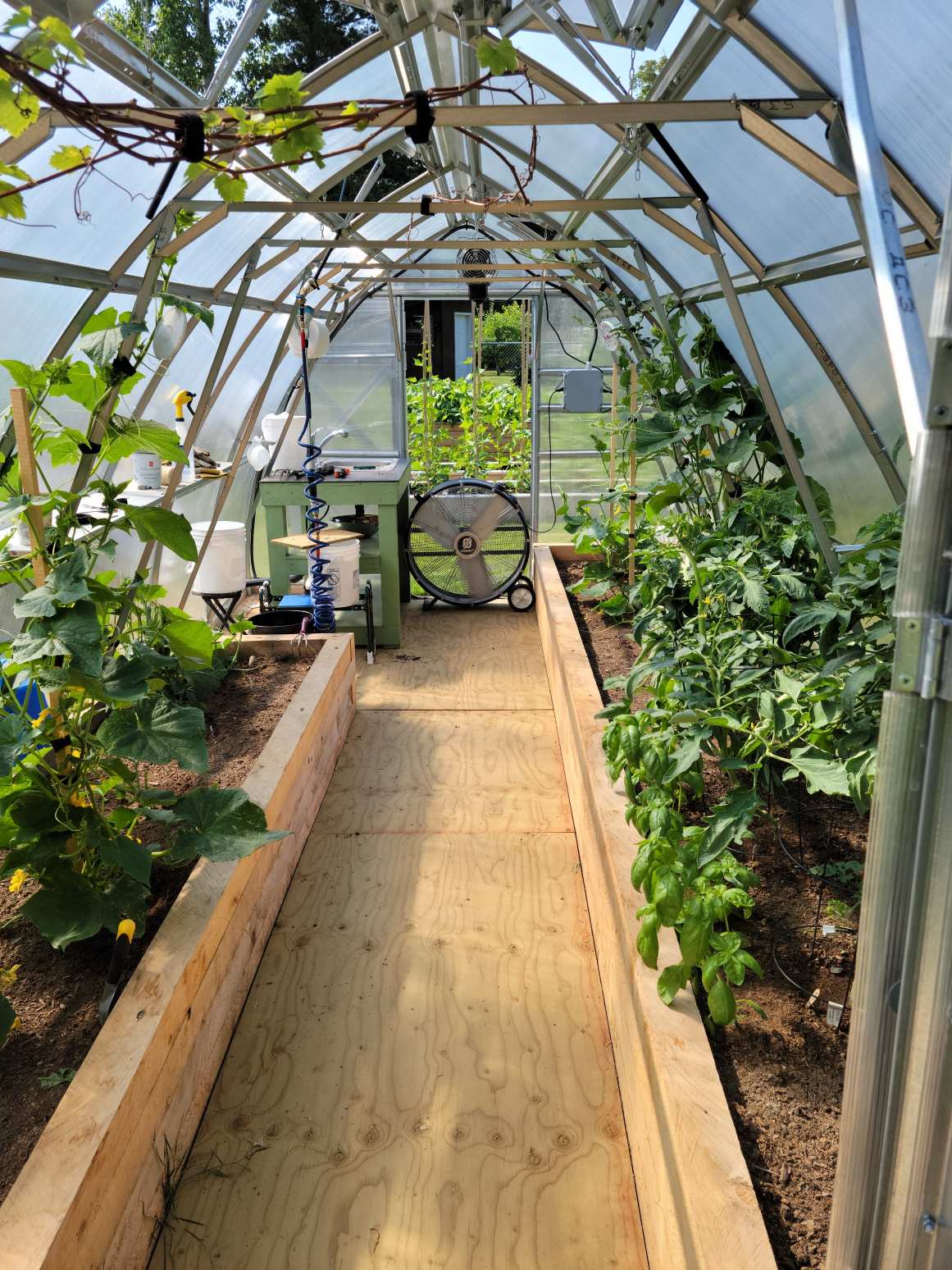 Sungrow 20 (Gen II)