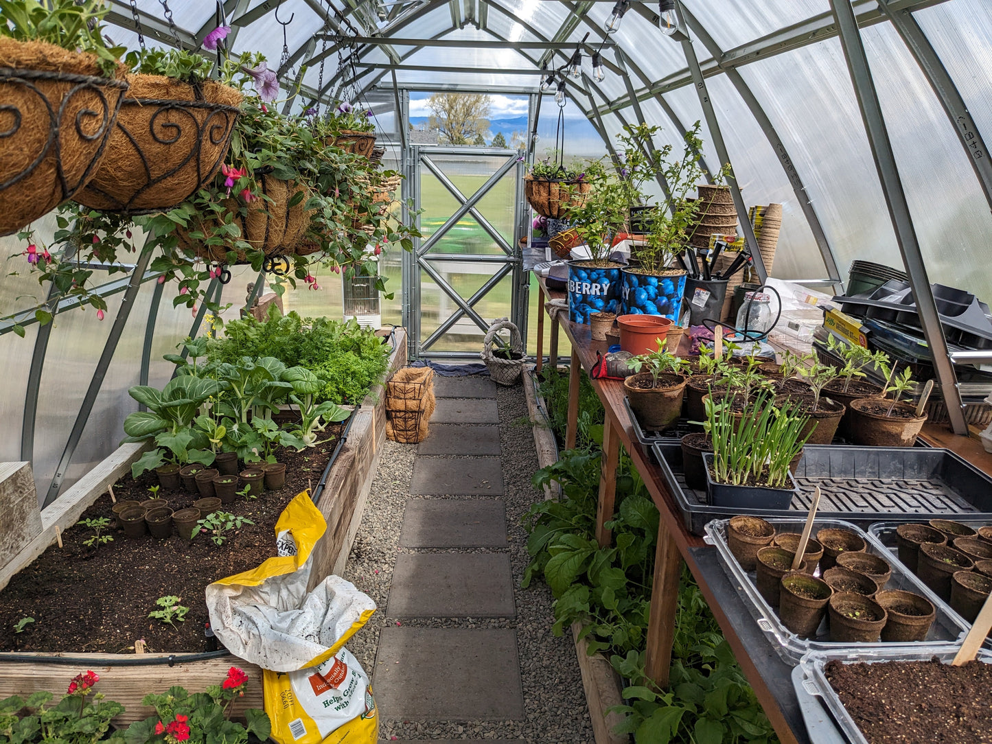 Sungrow 20 (Gen II)