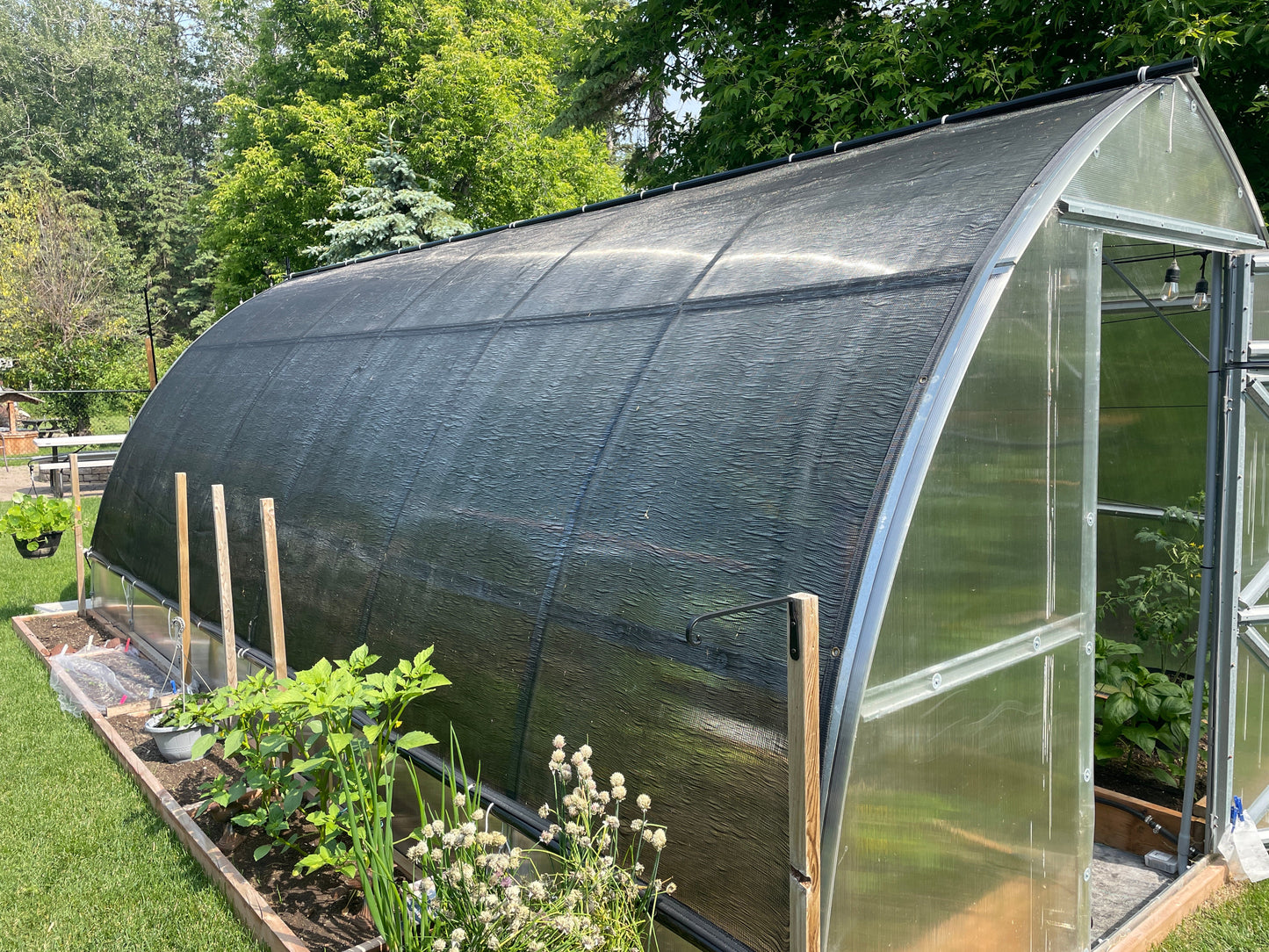 Sungrow 20 (Gen II)
