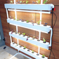 Wally 32 – Fixed Wall Hydroponic Gardening System