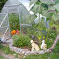 Sungrow Compact by Planta Greenhouses 10' X 6.5' in Nova Scotia, Canada