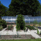 Sigma 32 Greenhouse