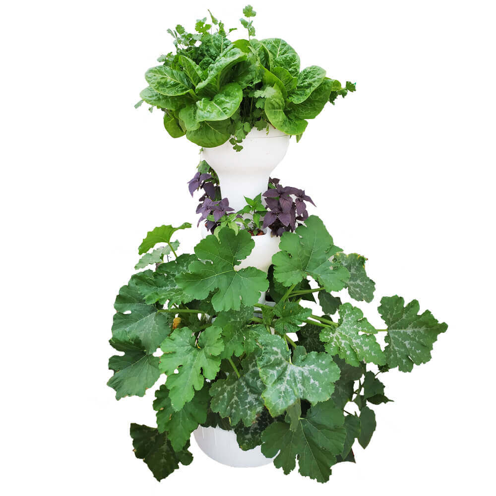 Airponic Fruit - Hydroponic Tower Garden System