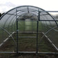Sigma 20 Greenhouse